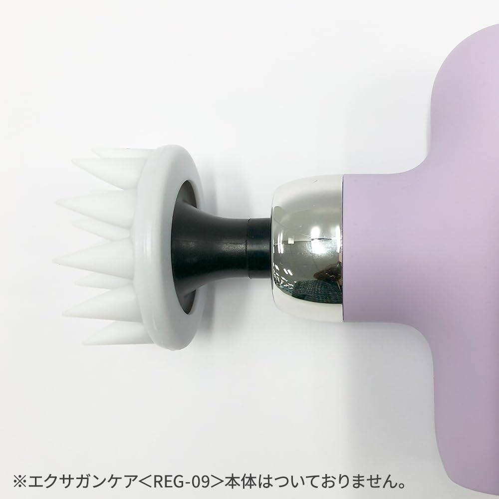 Amazon.co.jp: ドクターエア エクサガンケア スカルプ